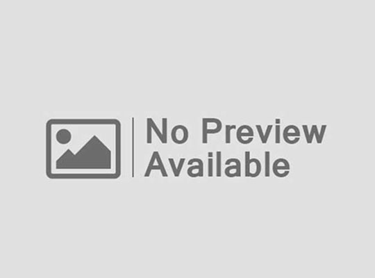 N1Bet Roulette and Slots Experience