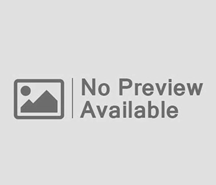 N1Bet Roulette and Slots Experience